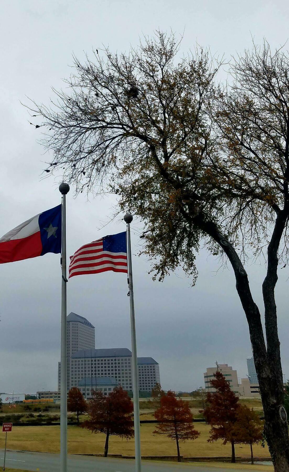 Holiday Inn Irving Las Colinas By Ihg Buitenkant foto